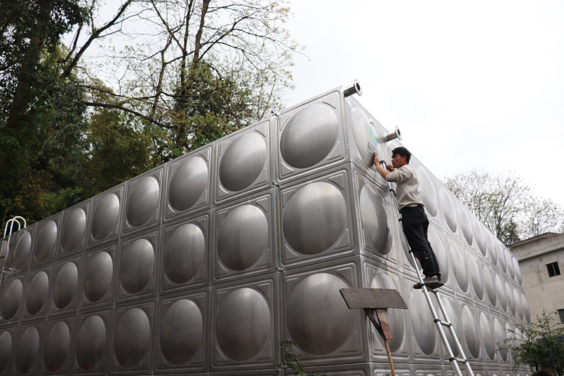 1775517515114158.jpg IMG_2645.JPG