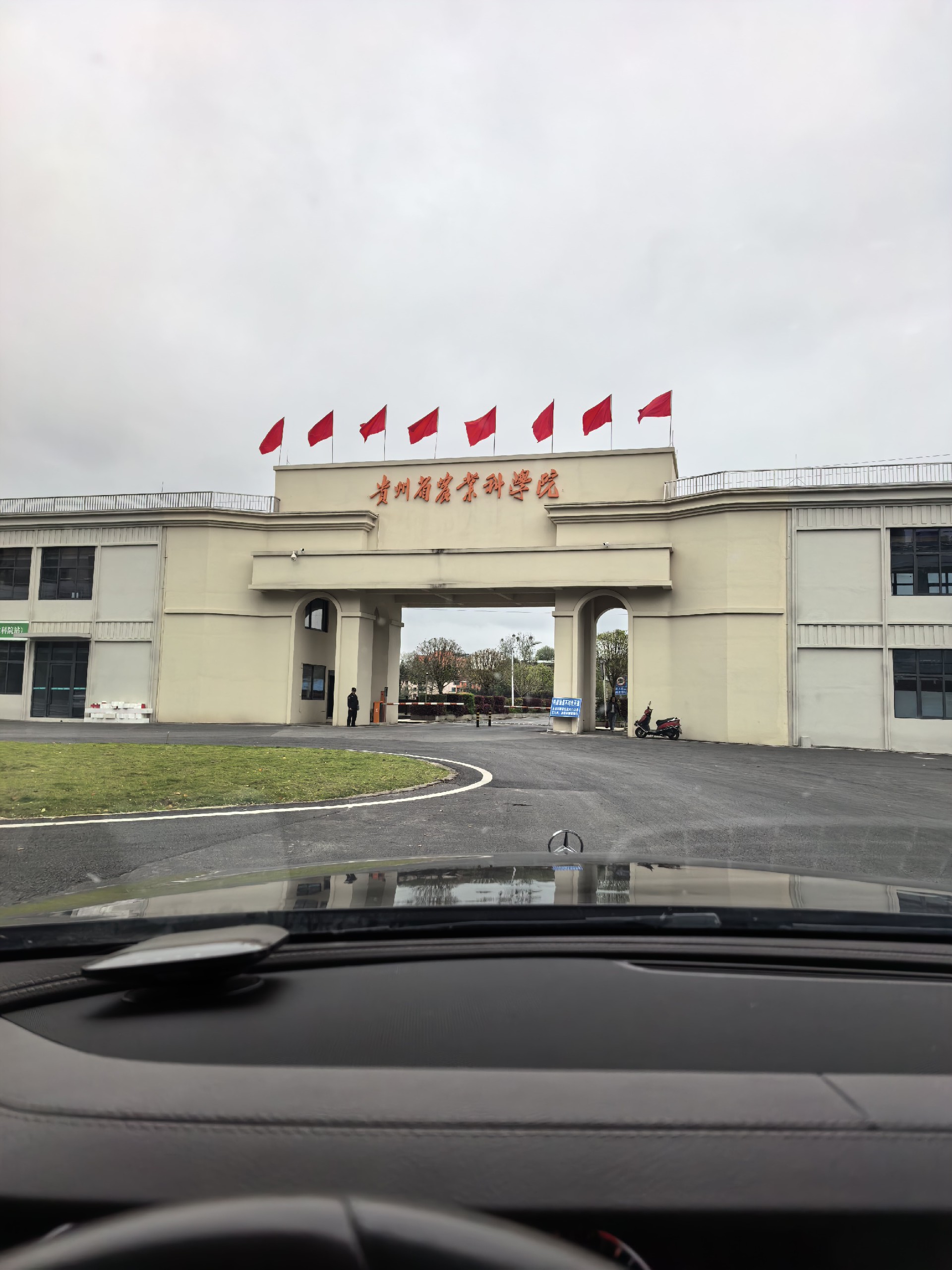 1776338877246976.jpg IMG_20260416_090801.jpg