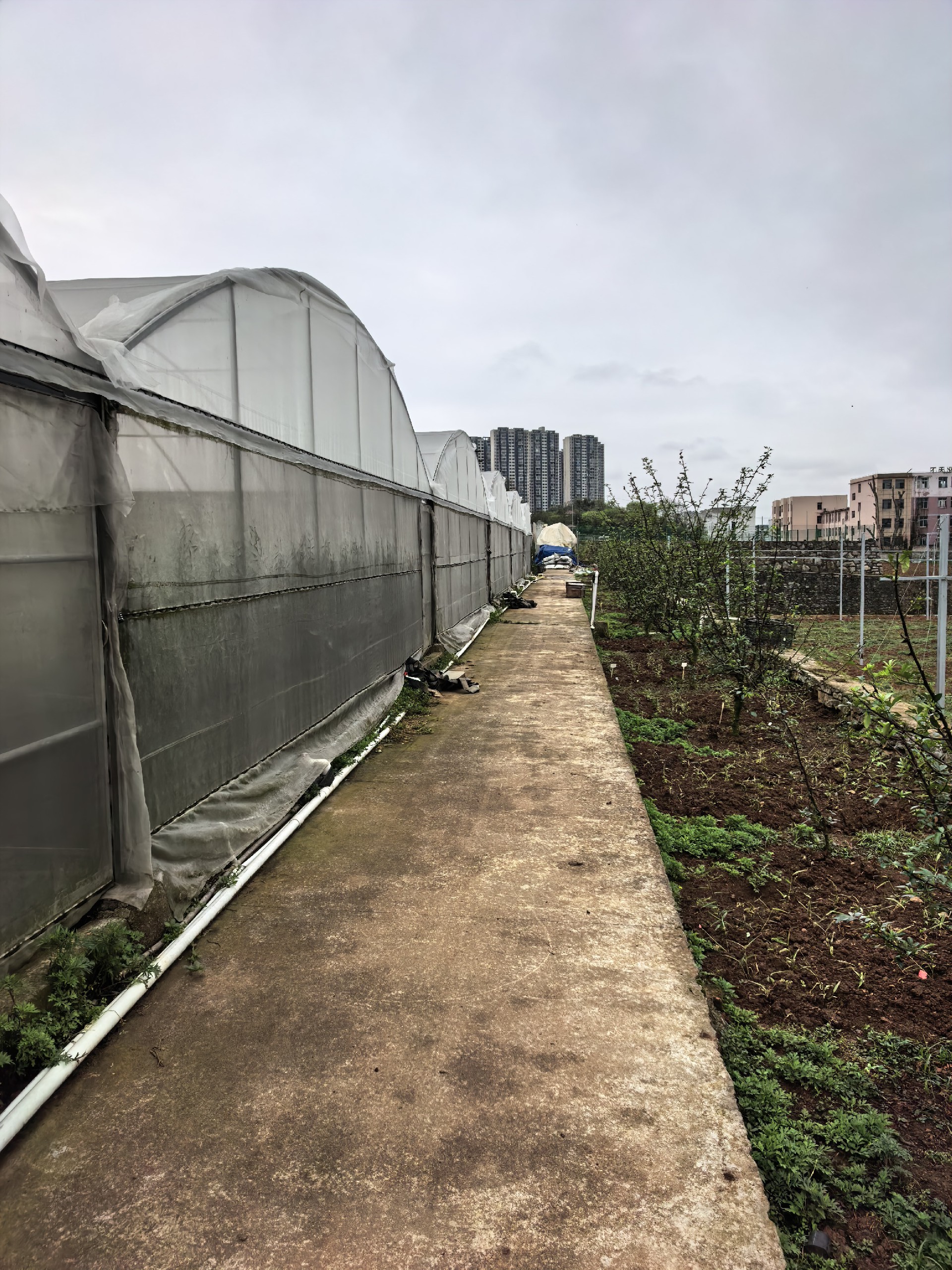 1776339025205556.jpg IMG_20260416_092832.jpg